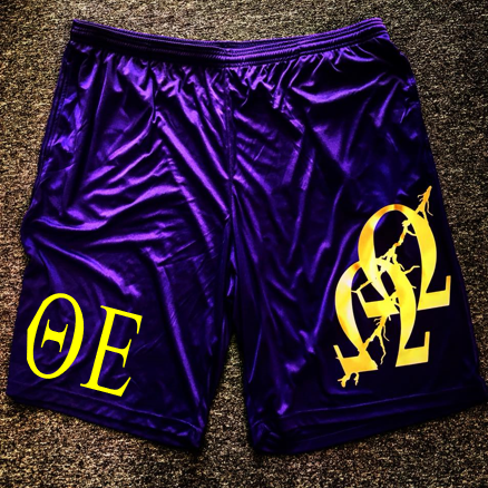 Double-Hooks Theta Epsilon Drifit Shorts