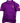 Alpha Iota Iota Embroidered Chapter Polo