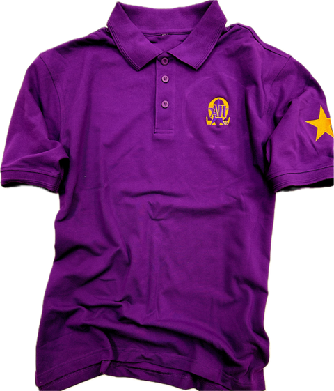 Alpha Iota Iota Embroidered Chapter Polo